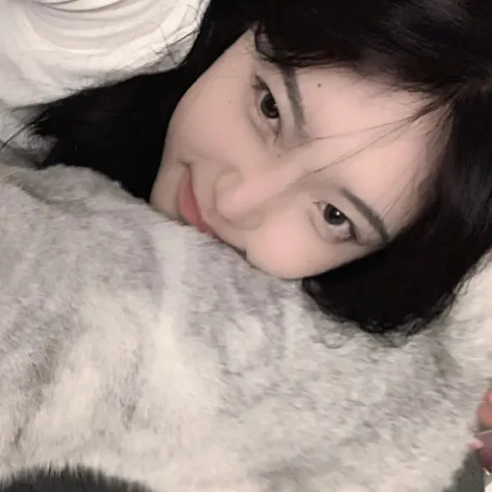 菜鸟老警第二季